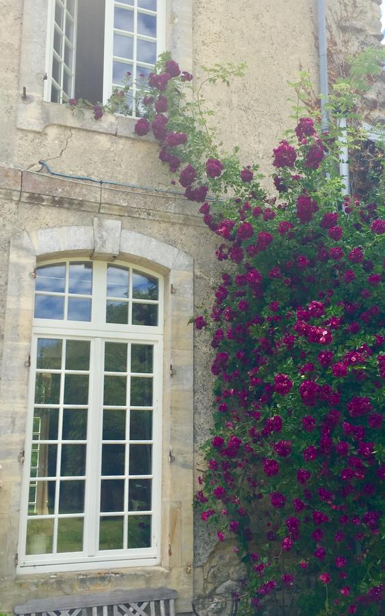L'Orangerie Du Grand Jardin Villa Condé-sur-Seulles Exteriör bild